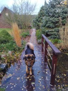 Domek blisko granicy u Darka