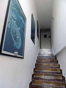 Apartments Aja and Stefy