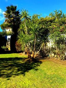 Villas Villa Tout confort 8 personnes ,wifi, Petanque, Piscine Privee : photos des chambres