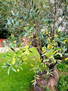 Villas Villa Tout confort 8 personnes ,wifi, Petanque, Piscine Privee : photos des chambres