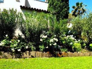 Villas Villa Tout confort 8 personnes ,wifi, Petanque, Piscine Privee : photos des chambres