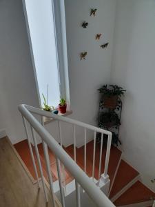 Quarto Cintra