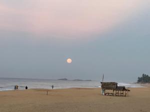 Blue Peacock Beach House