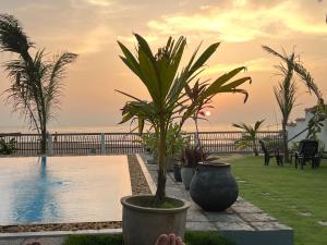 Blue Peacock Beach House