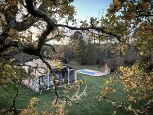 Magnifique ferme landaise 12 couchages - Captieux