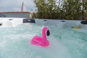 LOlympe - triplex avec spa et rooftop Classé 4*