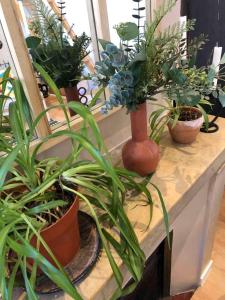 Cocons Avignon