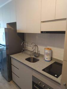 Departamento Centro Plaza 404