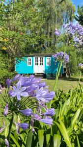 Las Cabañas de City Bell - El Sauce