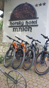 Horsky Hotel Mnich