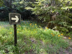 Domo Conguillio Conecta con tu energía sagrada junto al Salto Truful Truful con una vista majestuosa que podrás disfrutar en una tinaja Una experiencia que alineará tu espíritu y tu energía interior Vívelo