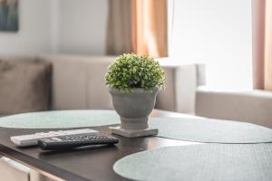 Pazari i Ri Studio - Self Check-In - Fast Wifi - Late Check-Out