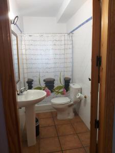 CASAS RURALES LA TOBICA