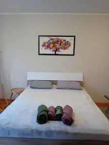 Apartman A-1 - Jakovac