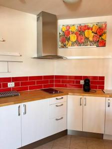 Cozy 1 bedroom apartment next to the gondola