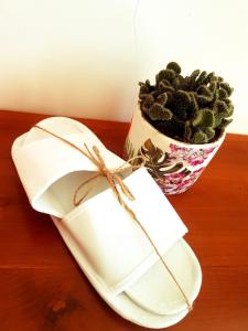 phoenix bed and breakfast 8