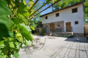 Pension U Obecní Šatlavy