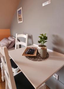 Apartmaji Medved, brezplačno parkiranje