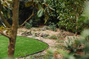 Maisons de vacances Maison Victoria : photos des chambres