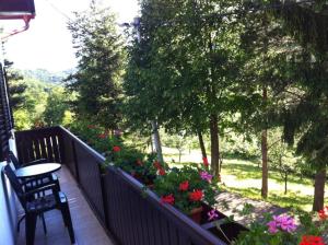 Apartments Dalija - beautiful nature and view