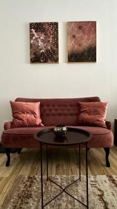 COLETTE Studio BelleView