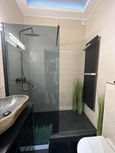 Gold Downtown Apartman