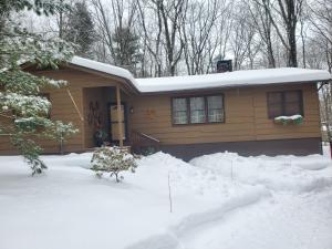 Harmony in the Woods