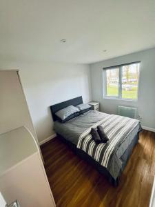 Cozy Snowdonia Chalet