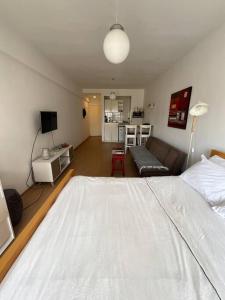 Luminoso studio en Palermo Soho (Plaza Armenia)