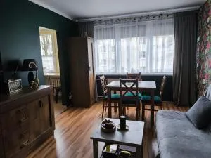 Apartament pod Złotą Małpą - Hlucholazy