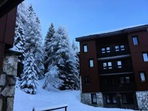 Résidence Plagne Lauze - maeva Home - Studio 4 personnes - Confort MAE-4344 - 拉普拉尼马孔
