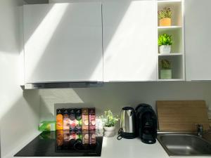 Spacious ultracentral modern apartment