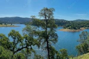 Serene Modern Family Getaway Near Midtown Downtown and Folsom Lake