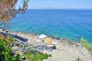 Seaside secluded apartments Cove Vela Borova, Korcula - 15062