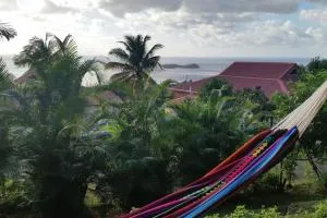 Gîte Pirates des Caraïbes - Pigeon