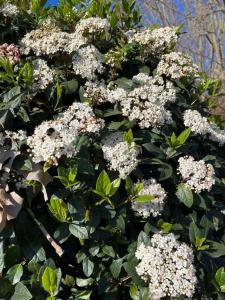 Modern Condo w Terrace 250m from Beach & Pool