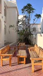 Basil Hostel