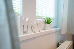 Ostseecamp Ferienhaus "Backbord"