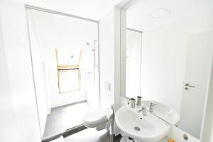 Deluxe Villa room in Pension Atra Doftana