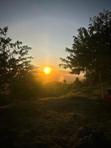 Finca Murillo