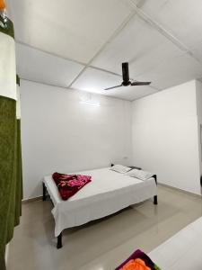 Anjali Homestay Kaziranga