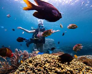 Thuyền Xưa Homestay Đảo Phú Quý