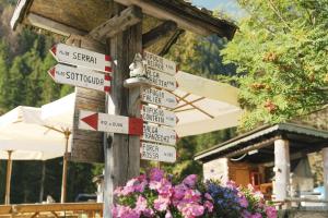 Camping Marmolada Malga Ciapela - Glamping Experience