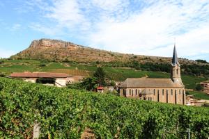 Maisons de vacances Ancien cuvage renove au coeur du vignoble : photos des chambres