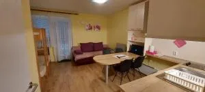 Apartma Rogla Gaber 110 - Rakovec