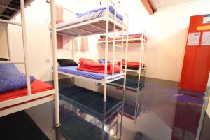 1 người trong phòng Tập Thể 6 giường (Nam & Nữ) (6-Bed Dormitory -- Mixed)