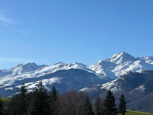 Appartements Appartement 3 etoiles, 2 chambres , cuisine amenagee, terrasse, face a la chaine des Pyrenees : photos des chambres