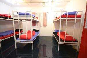 1 người trong phòng Tập Thể 6 giường (Nam & Nữ) (6-Bed Dormitory -- Mixed)