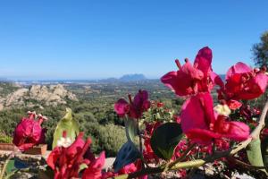 Belvedere Country House img2