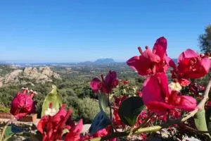 Belvedere Country House - Telti